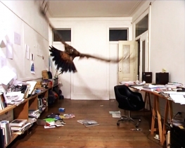 Untitled (Vulture in the studio)